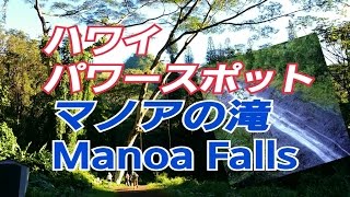 ハワイ【パワースポット】マノアの滝（Manoa Falls）