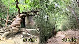 ( 香港郊遊 ) 茅坪古道 北港古道 茅坪藤皇 竹林隧道 新手行山路線 夏日行山路線 馬鞍山行山 西貢行山 Mau Ping Pak Kong