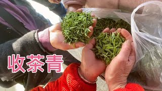 来自大山里的茶叶市场：农民勤劳淳朴，这茶叶真不错，带花香味