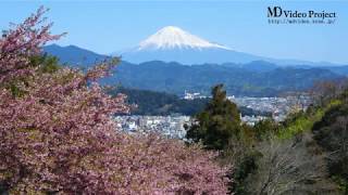 富士山と静岡市の眺望です　４K