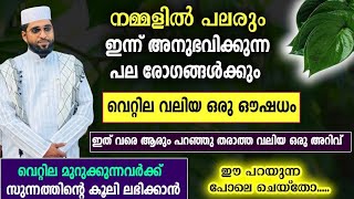 വീട്ടിൽ ഏഴ് വെറ്റില യുണ്ടോ എങ്കിൽ അത്ഭുതകരമായ ഒരു മരുന്നു ഇതാ /shameer darimi kollam /ദാറുസ്സലാം