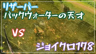 バックウォーターの天才バスにジョイクロ178で勝負に挑む！【リザーバー】【ビッグベイト】【ジョイクロ】【バックウォーター】