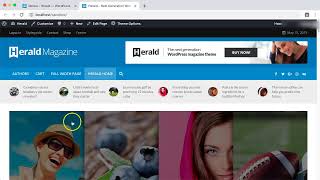 Main navigation setup - Herald WordPress theme