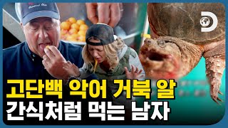 역시는 역시! 🤮 간만에 맛난 거 먹나 했더니! 🐢거북이랑 🦝너구리 먹는 앤드류 [앤드류의 희한한 식사]