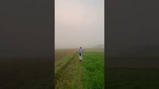 শীতের সকাল ফজরের নামাজের পর #beautiful #prakriti #video