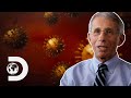 The Impressive Changing Nature Of Influenza | Invisible Killers