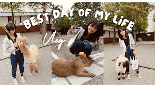 Vlog #16 生活 記錄 | 宜蘭冬山/清溝夜市/小可愛粉圓冰/小華村/莢麵包/張美阿嬤農場/北門綠豆沙/北門蒜味肉焿