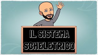 Il sistema scheletrico