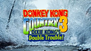 Donkey Kong Country 3 - Frosty Frolics