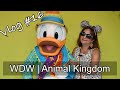 Vlog #16 - Animal Kingdom