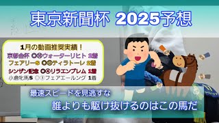 【東京新聞杯2025予想】誰選ぶ？スピードが突き抜けた馬を選べ。G1馬ブレイディヴェーグ、ジオグリフ、絶好調ウォーターリヒトがいるが東京ならこの馬一択だ！1月予想絶好調、2月反撃なるか！？【競馬予想】