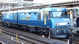 2019/04/09 JR Freight: EH200-24 after Inspection at Omiya