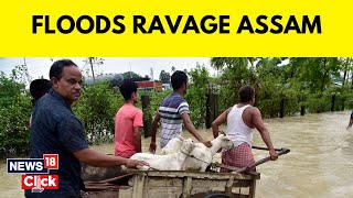 Assam Floods 2023 | Flood Situation Remains 'Critical' In Assam | Flood In Assam | News18