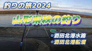 山形県の釣り・酒田北港、アジ＆タチウオ「釣りの旅２０２４秋」車生活で日本全国釣りの旅