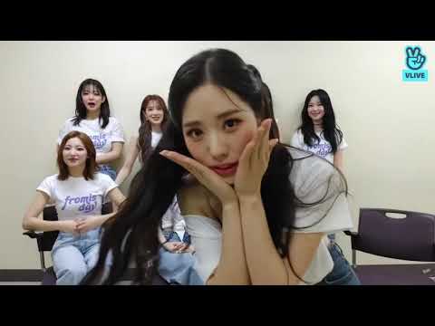 (eng/spanish/indo/jpn Sub) FROMIS DAY FROMIS_9 VLIVE|04/25/22 - YouTube