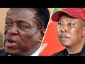 Julius Malema sends powerful freedom day message to Zimbabweans in South Africa