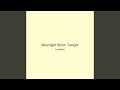 Moonlight Storm Twilight
