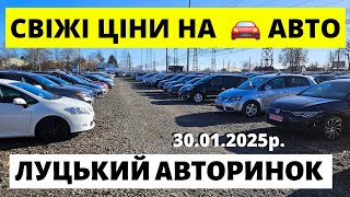 ЛУЦЬКИЙ АВТОРИНОК // ЩО КУПИТИ СЬОГОДНІ // 31.01.25р. #луцькийавторинок  #автопідбірлуцьк #автобазар