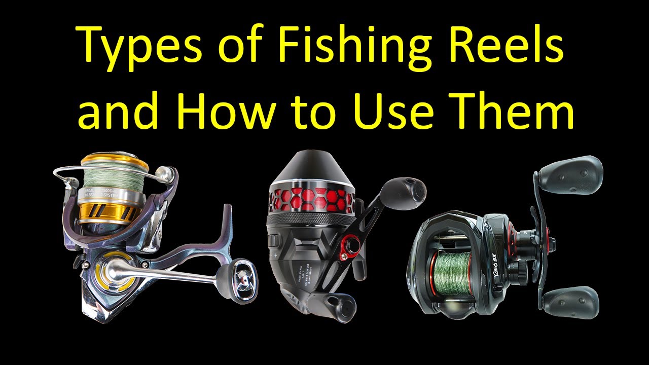 3 Types Of Fishing Reels And How To Use Them For Beginners Spinning