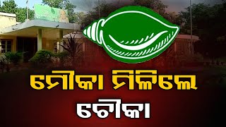 ମୌକା ମିଳିଲେ ଚୌକା   | Odisha Reporter