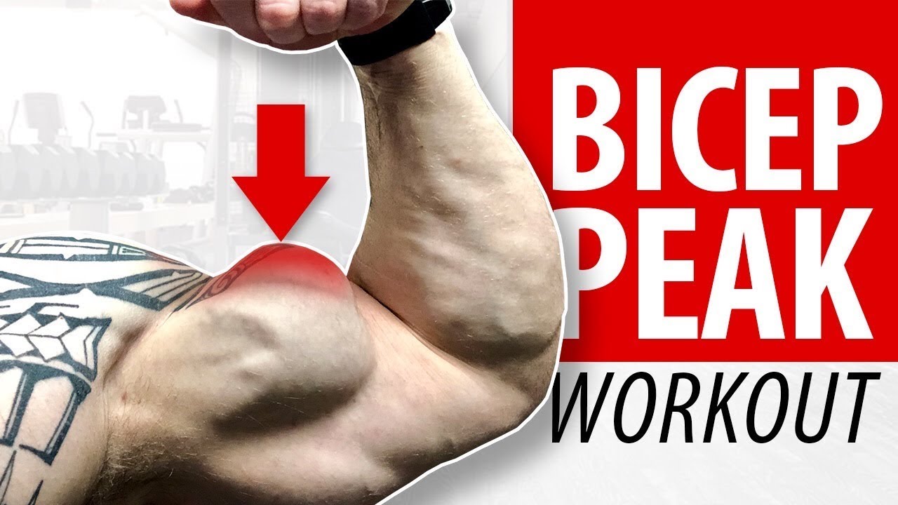 Bicep Peak Worout All Cables Insane Pump Youtube