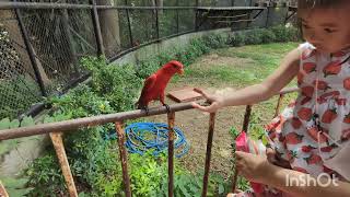 MinMin พาเที่ยว bonanza exotic zoo Thailand โบนันซ่า EP9