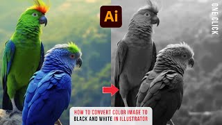 How to SOLVE Illustrator Grayscale Color Problem | Image to black and white  | Illustrator Tutorial