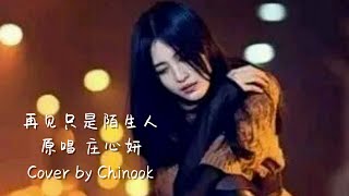 【再见只是陌生人】原唱 庄心妍 吉他弹唱 翻唱 Cover by Chinook