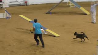 Remy Agility Exc Std 6-16-19