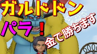 ドラクエ１０ガルドドン４パラ(海賊王)　zzz