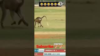 Cricket best funny video 😁#shorts #cricket