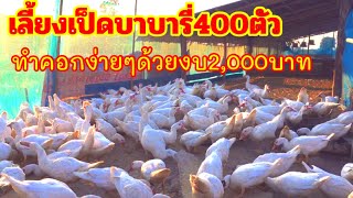 เลี้ยงเป็ดบาบารี่400ตัว ทำคอกง่ายๆแบบประหยัดด้วยงบ2,000บาท|บ่าวอีสาน ฮั่นแหล่ว