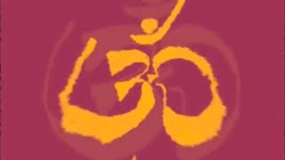 Babaji's Maha samadhi ( 1984 Feb14 Haidakhan )