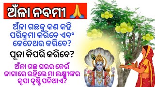 ଅଁଳା ନବମୀ କିପରି ପାଳିବେ? 🤔🤔 ll ଭକ୍ତି ଓ ବିଶ୍ୱାସ #66 #bhaktiobiswas