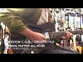 Freedom Custom Guitar Research / Order Style Brown Pepper All Rose Natural