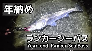 Last Fish of 2024 Was a Ranker Sea Bass