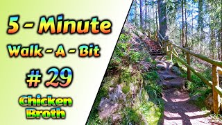 5-Minute-Walk-A-Bit - #29 - Chicken Broth - That's its Name, Really!