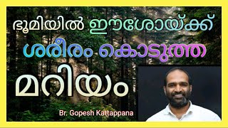 ഭൂമിയിൽ യേശുവിന് ശരീരം നൽകിയ മറിയം (Br. Gopesh Kattappana)