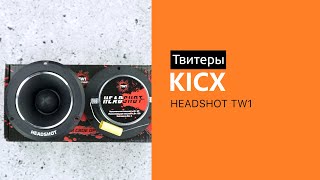 Распаковка твитеров Kicx Headshot TW1