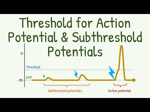 What effect does the action of subthreshold stimulus have?