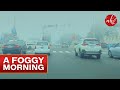 Abu Dhabi Fog in the Morning | Foggy morning drive in Abu Dhabi