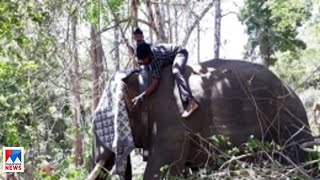 കാടിനും നാടിനും ഒരുപോലെ കാവല്‍ നിന്നു; കണ്ണീരോർമയായി ഹുസൈന്‍ | Thrissur | Wild Elephant Attack