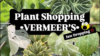 This Plant Shopping Trip Blew My Mind – You NEED to See This! ( Plant Shopping 🌿| VERMEER’S )