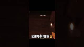 玩DOORS但只能點擊才能動??!!