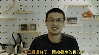 鼠博館：社群問與答 第一集 高溫可以養鼠魚嗎？