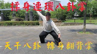 【揉身連環八卦掌】天干八卦 轉身翻背掌  Tianganbagua Zhuanshenfanbeizhang Gao syle Baguazhang