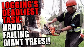 DEATH FROM ABOVE: Brent Goes Hand Falling To Drop Dozens of Deadly GIANT Cottonwood Trees! #logging