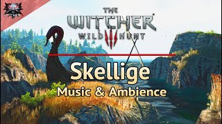 The Witcher 3 | Skellige Day | Emotional and Relaxing Soundtrack & Ambience