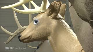 Business Spotlight: Sportsman's Warehouse