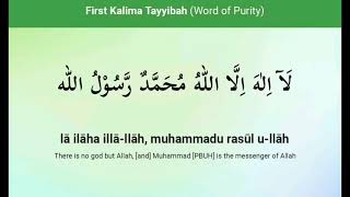 First Kalima Tayibah|word by word | with Tajweed  #FirstKalima#IslamicKnowledge #quranteaching